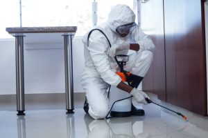 Experts in Pest Control provides solution that are prompt, effective, and cost-effective