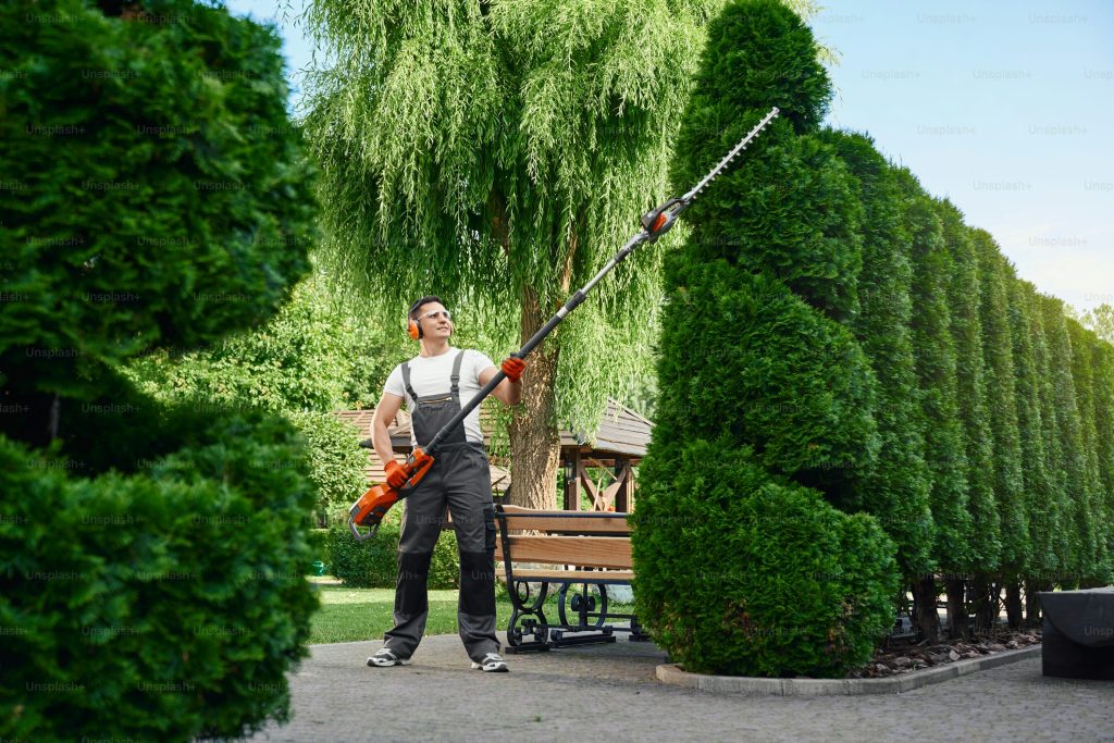evergreen garden services