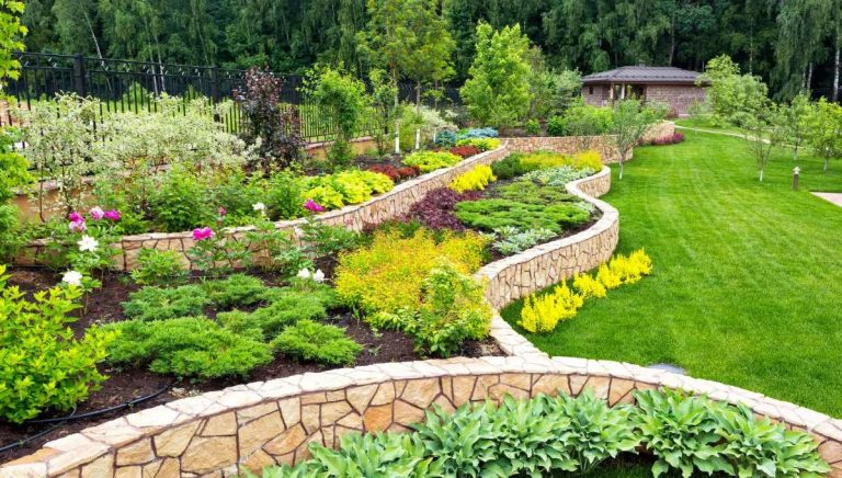 Professional Mulching Services That Balance Garden Aesthetics And Plant Health